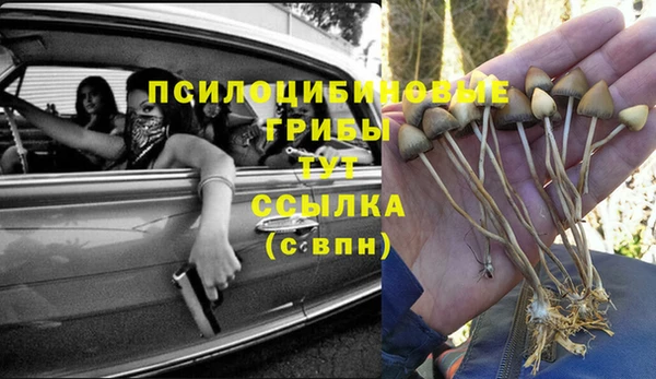 jwh Алзамай