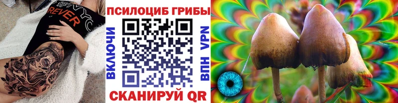 Галлюциногенные грибы MAGIC MUSHROOMS  Куса 